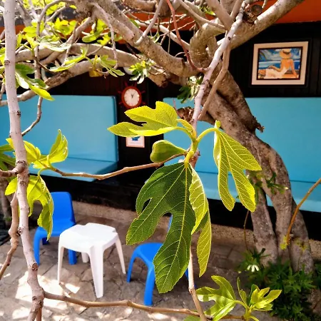 Sea Marble Studio * Tjernomorets